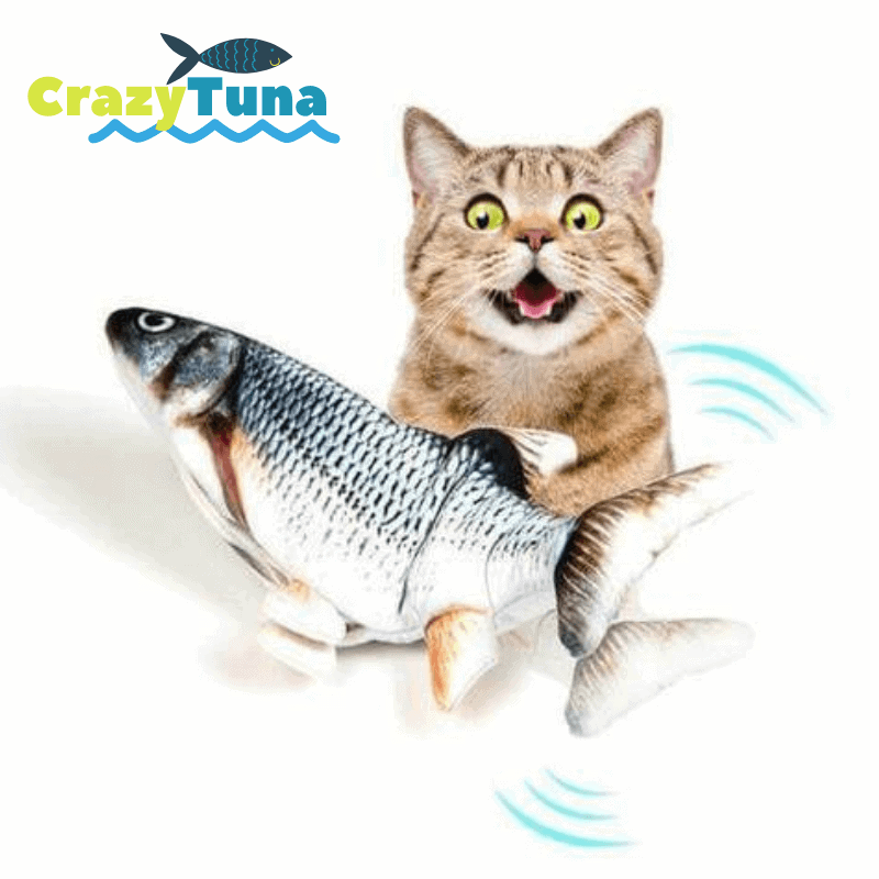 CrazyTuna™ - Elektrisch Katten Speeltje-Koopje.com