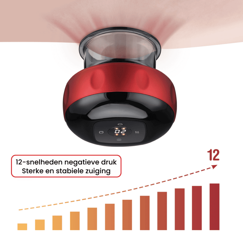 8_40397006-762a-4d31-adcd-715175ce88bf