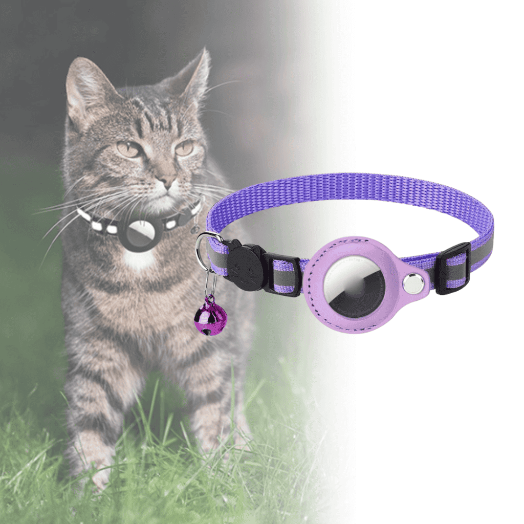 Purple_cd93b674-328b-42a6-a973-1b406cb44d19