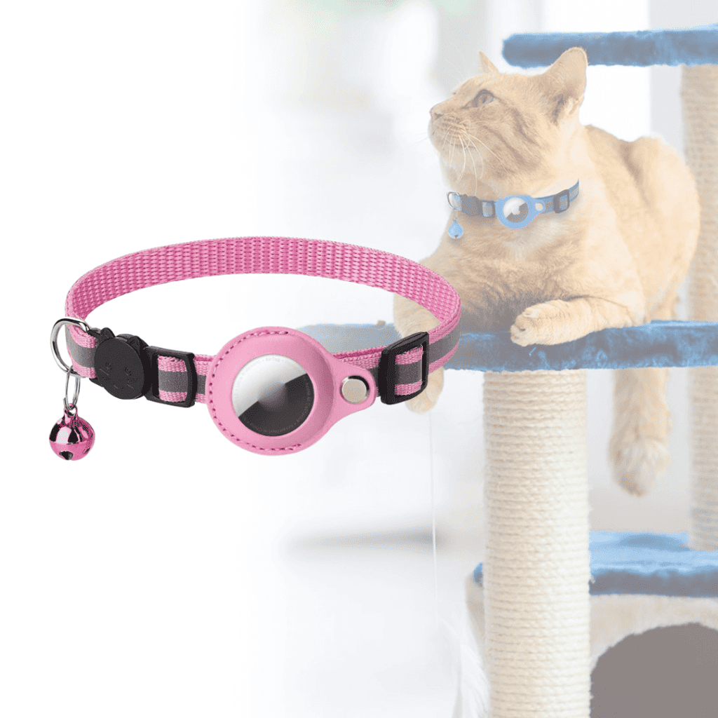 pink_44217c7a-9d4b-4ee2-8c63-14eb2369774b