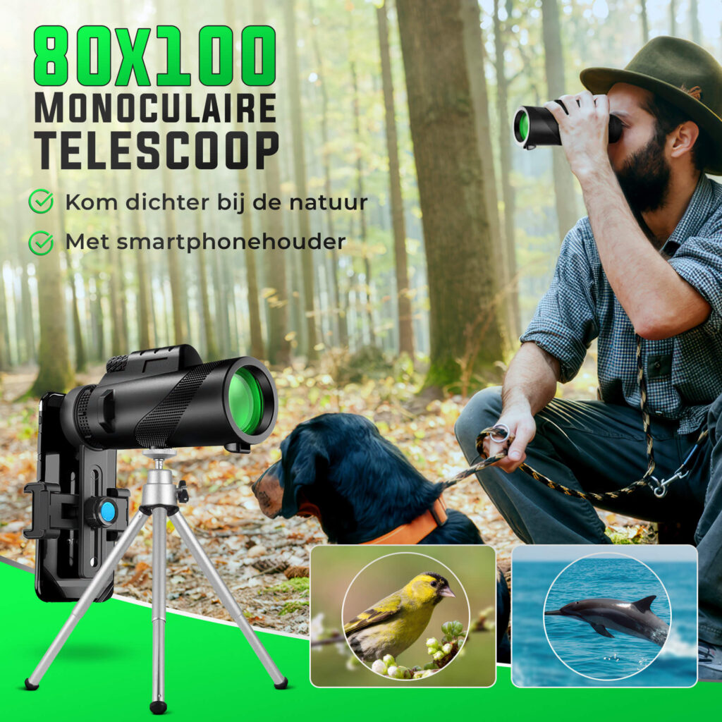 1. Main Image (1) (1)