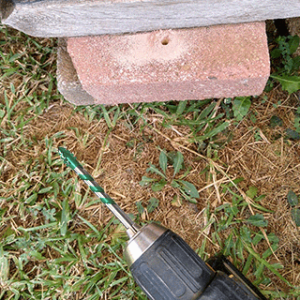 Photo de l’acheteur