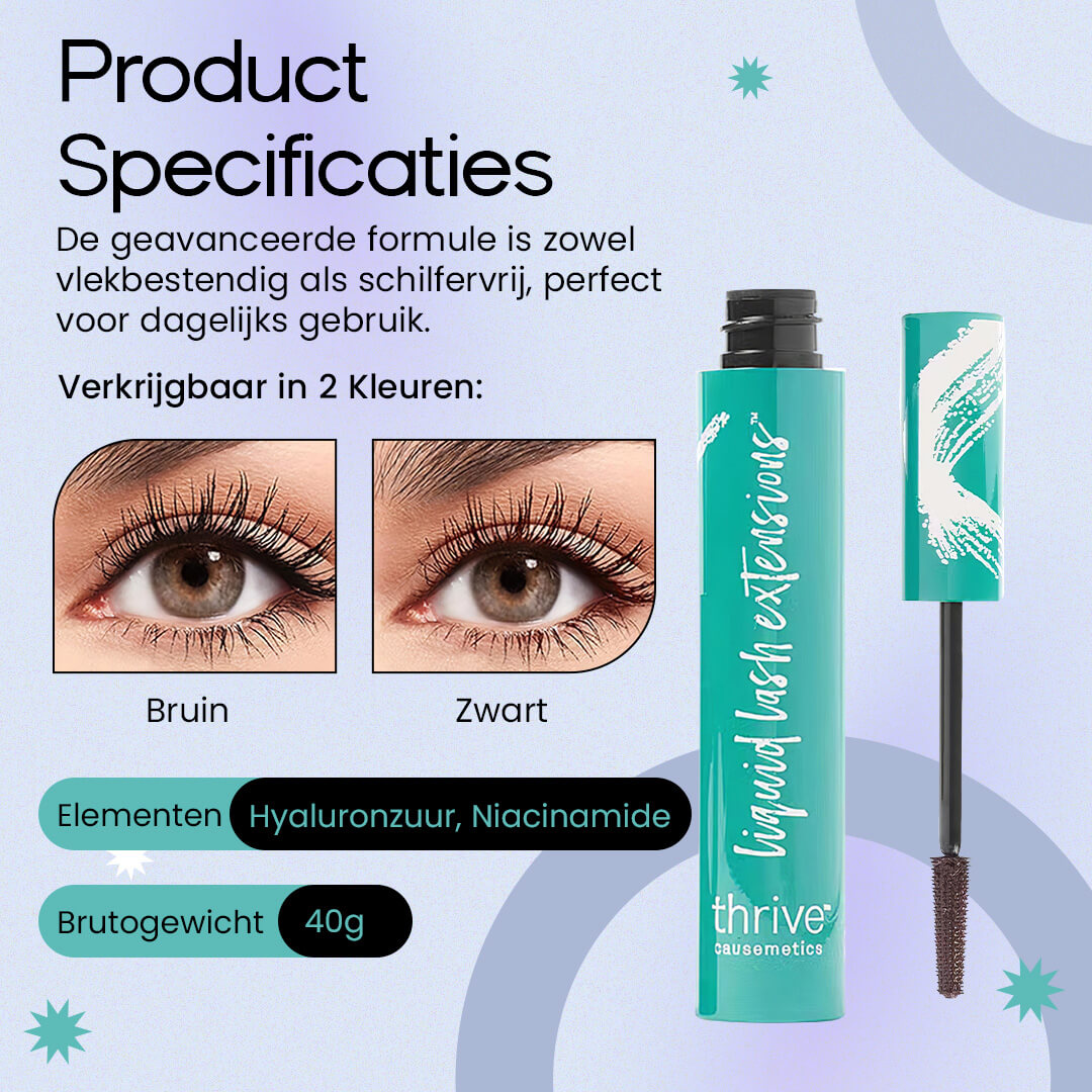 6. Specifications
