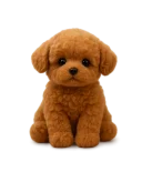 BristlX Premium Schoenenwaszak