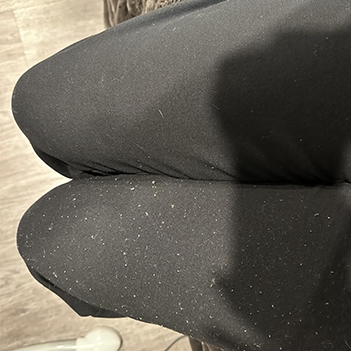 Benutzer mit FuzzClean