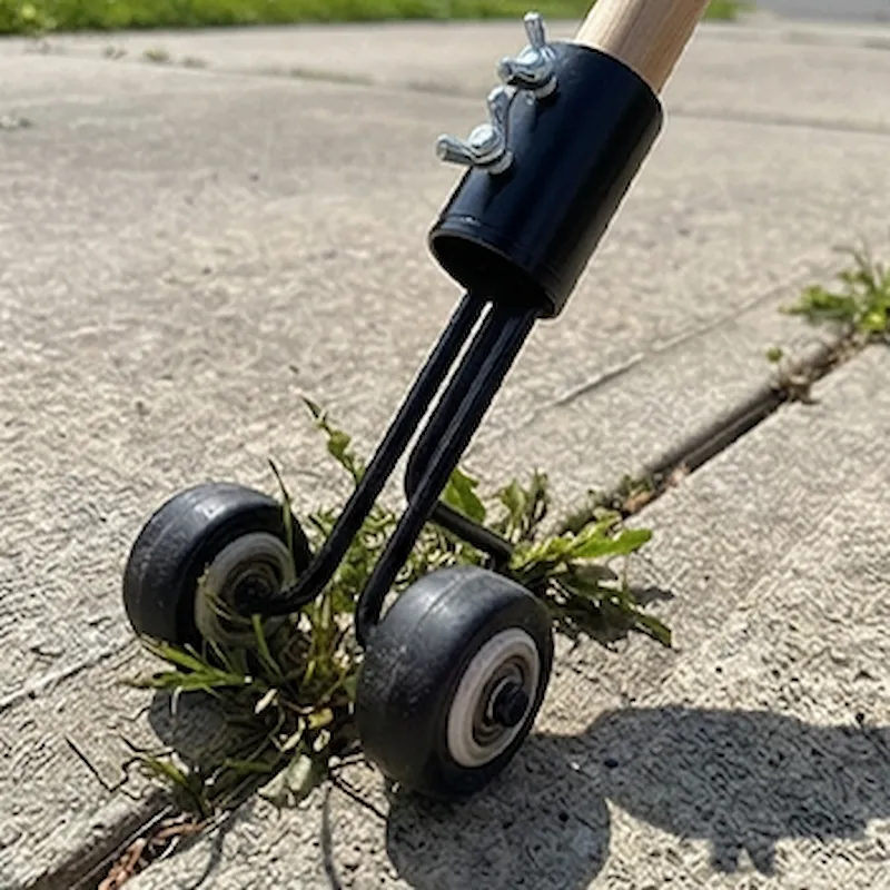 Close-up van onkruid dat loskomt uit een smalle voeg